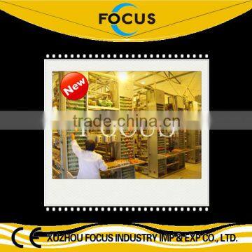 chicken egg collection equipment