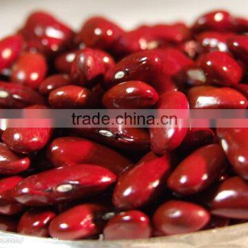 2015 good red kidney beans with excellent quality FOR SALE