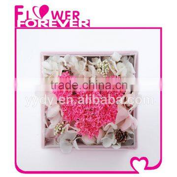 Best Mother Day Gift Preserved Carnation Flower