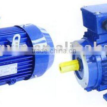 electric motor Y3