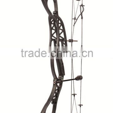 Professional compound bow for hunting