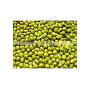 mung beans