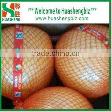 Fresh Pomelo/Chinese Pomelo Fruit/Pomelo Prices photo-4