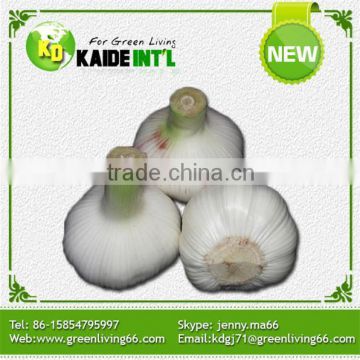 White Garlic Manufacturer In China