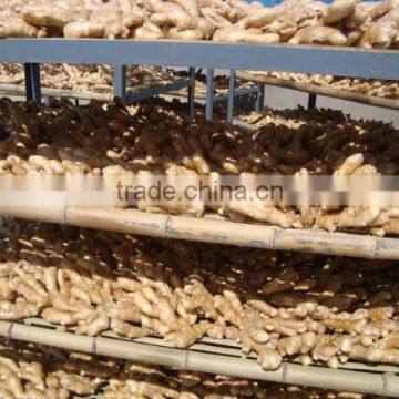 2016 New Crop Ginger - new crop, hot sales