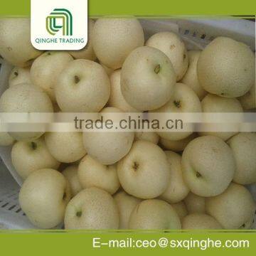 2015 new China fresh Ya pears