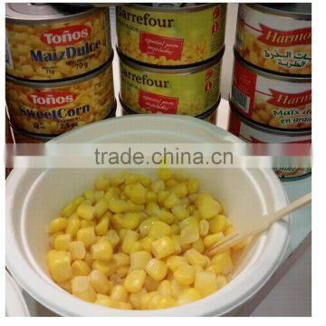 China wholesale canned food manufacture for Canned Sweet Corn 75G