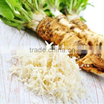 Best Price Fresh Horseradish