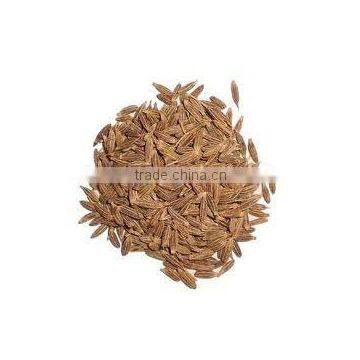 Cumin Seeds