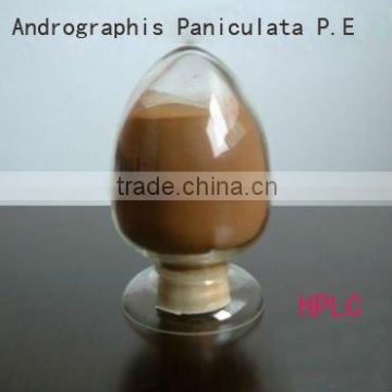 Andrographis paniculata extract