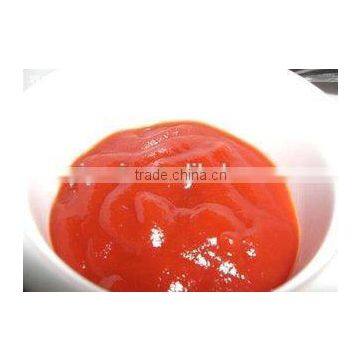 Delicious Tomato sauce,Ketchup with high quality (Y24)