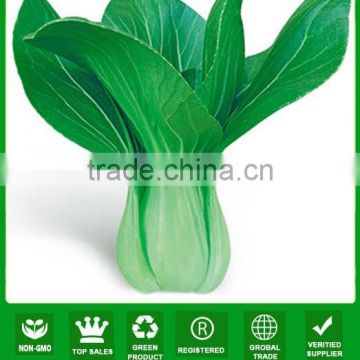 JPK08 Liangmei extremely early mature chinese pakchoi seeds f1 for vegetable seeds