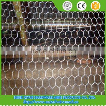 1/4 Inch Lowest Price Chicken Wire Mesh photo-6