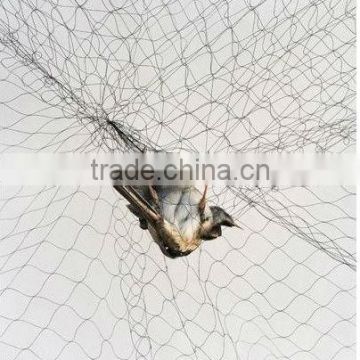 china manufacturer anti bird netting