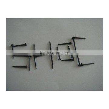 Good Quality Shoe Tacks photo-2