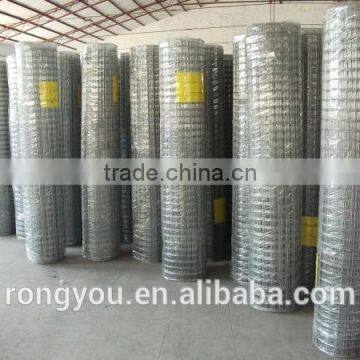 Good Quality Welded Mesh photo-2
