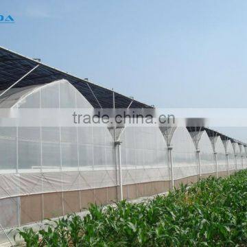 BLD Large Multi-span Plastic Film Greenhouse/agriculture Greenhouse photo-3
