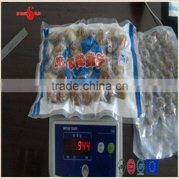 Vacuum -packed Short Necked Clam in Shell photo-4