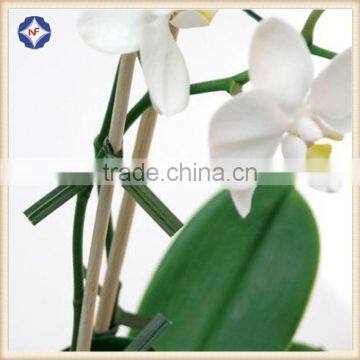 PVC Plastic Coated Soft Twist Tie Wire for Garden Tools photo-3