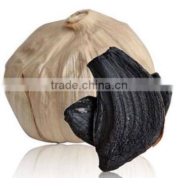 BLACK GARLIC for Sale photo-5