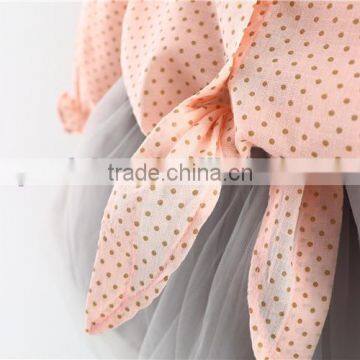 Boutique Princess Clothes Set Spring Baby Long Sleeve Shirt Gray Skirt Children Girl Wear 2017 photo-4