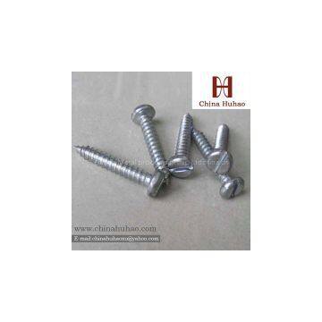 Pan Head Self Tapping Screw photo-3