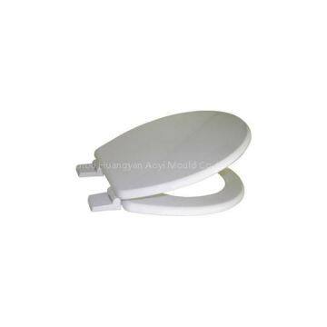 Plastic Toilet Seat Mould