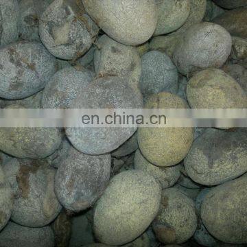 White Eri Cocoon photo-2