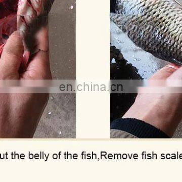 Electric Fresh Fish Scaling Machine Fish Gutting Peeling Machine From China Factory photo-6
