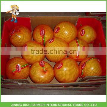 New Crop Grape Fruits Fresh Honey Pomelo