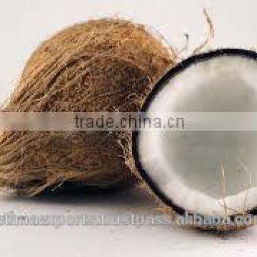 Highclass Coconut From South India photo-5