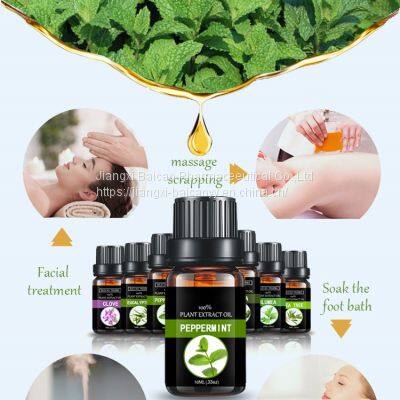 Natural Peppermint Oil Massage Essential Oil New Fresh Mosquito Repellent Refreshing Analgesic Skin Care photo-3