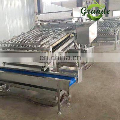 High Efficiency Stainless Steel Shrimp Sheller Prawn Peeling Shelling Machine photo-4