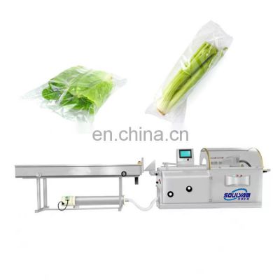 SY-680 Bag Fresh Fruit Vegetable Potato Tomato Pouch Horizontal Packing Packaging Machine