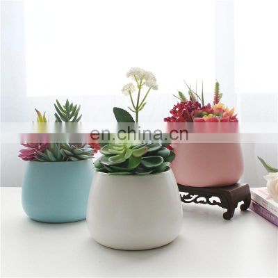 Best Selling Succulent Plants Faux Plastic FakeFlowers Mini Artificial Succulents In Pots