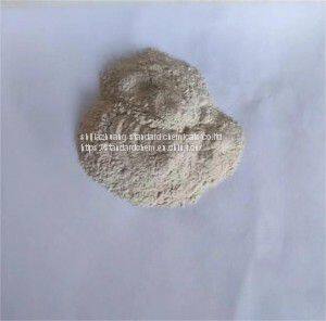 Probiotics Bacillus Pumilus Agricultural Fertilizer Feed Use photo-2