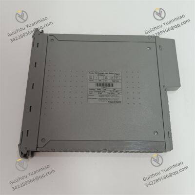 ICS TRIPLEX T8431 Analogue Input Module photo-2