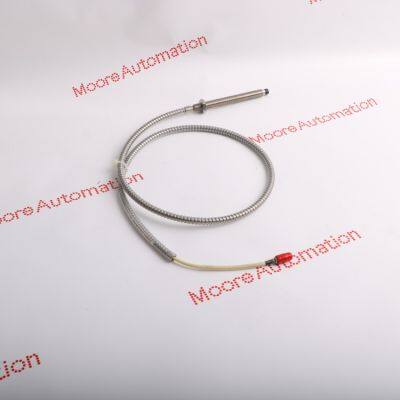 Bently Nevada 22810-00-04-10-02 photo-3