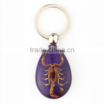 Real insect keychain with scorpion