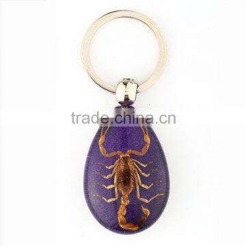 Real Insect Keychain With Scorpion
