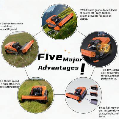 Vigorun Manufacturer CE EPA 800mm Cutting Width Flail Mower Self-Locking Worm Gear Electric Hybrid Tools Carrier for Sale photo-3