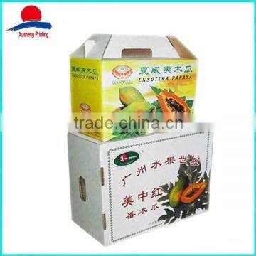 High Quality Printed Paper Fruit Packaging Box