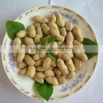 Chinese New Crop Row Peanuts in Shell