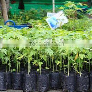 Hydroponics planter bags Australia supplier