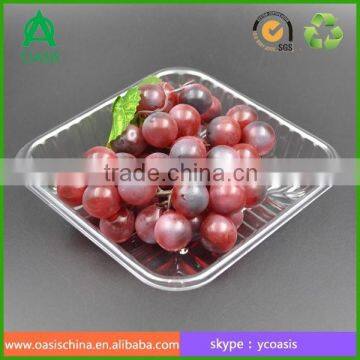 Disposible Plastic Food PET Tray/strawberry/blueberry Clamshell Tray 16*16 cm Quality Choice photo-2