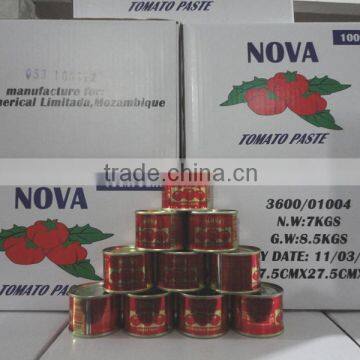 NOVA brand Tinned Tomato Paste/Canned Tomato Paste in 70g