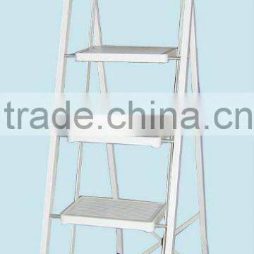 folding ladder