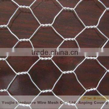 3/4"x3/4" hexagonal wire net