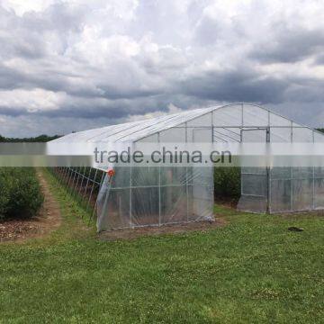 Tunnel Plastic Greenhouse