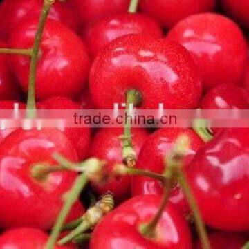 China Paper Bagged Fresh Cherries photo-3